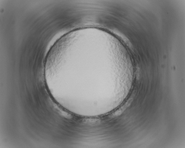 X0000076251374200610191638