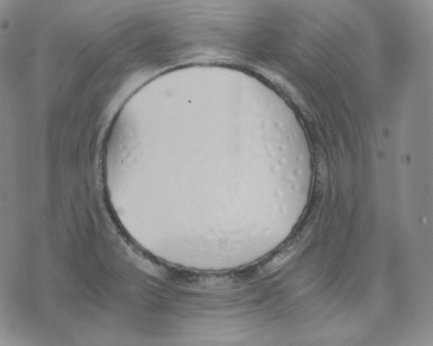 X0000076251375200610191638