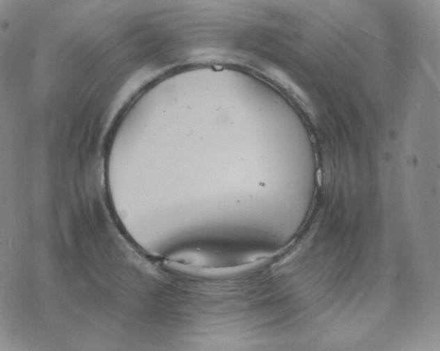 X0000076251376200610191638