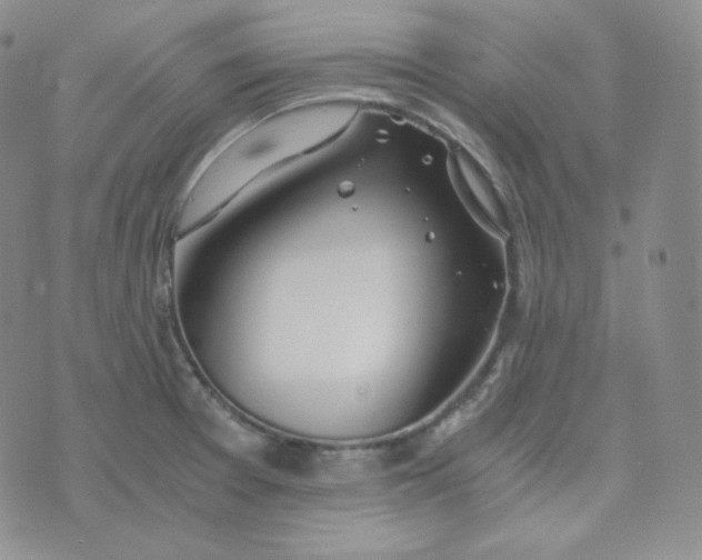 X0000076251377200610191638