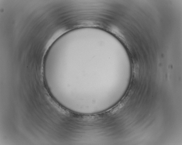 X0000076251378200610191638