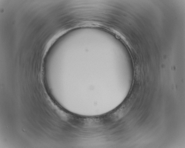 X0000076251379200610191638