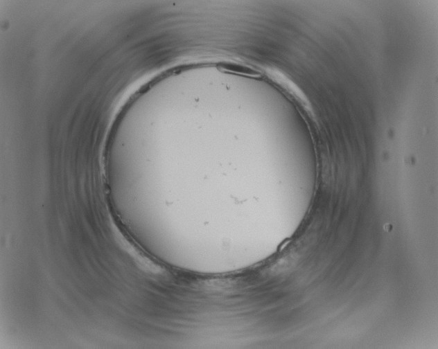 X0000076251380200610191638