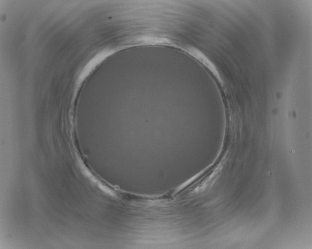 X0000076251381200610191638