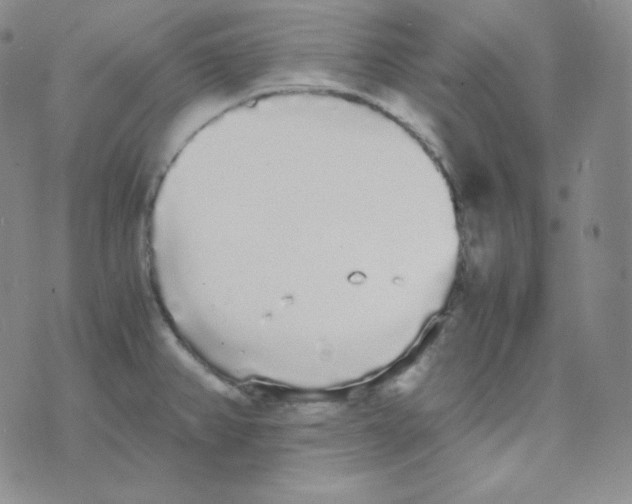 X0000076251382200610191638