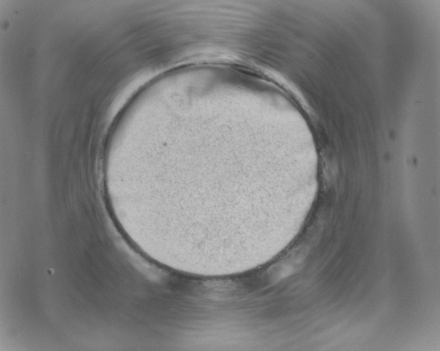 X0000076251383200610191638