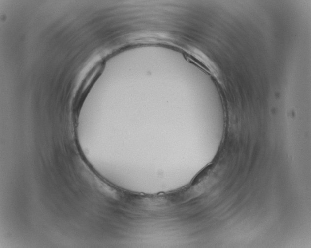 X0000076251384200610191638