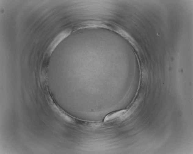 X0000076251385200610191638