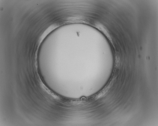 X0000076251386200610191638