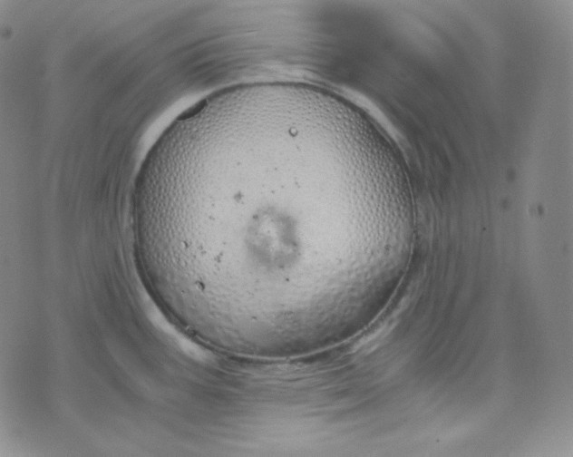 X0000076251387200610191638