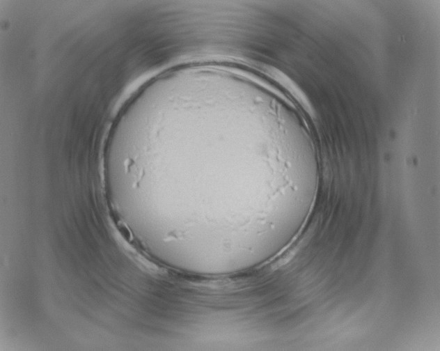 X0000076251388200610191638