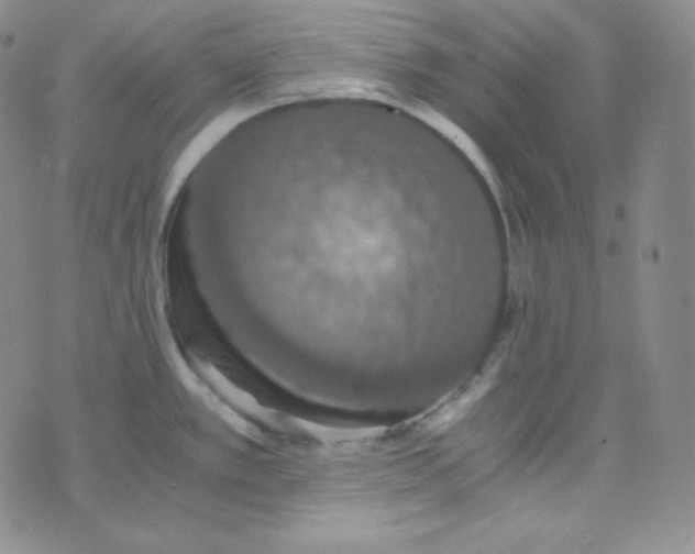 X0000076251389200610191638