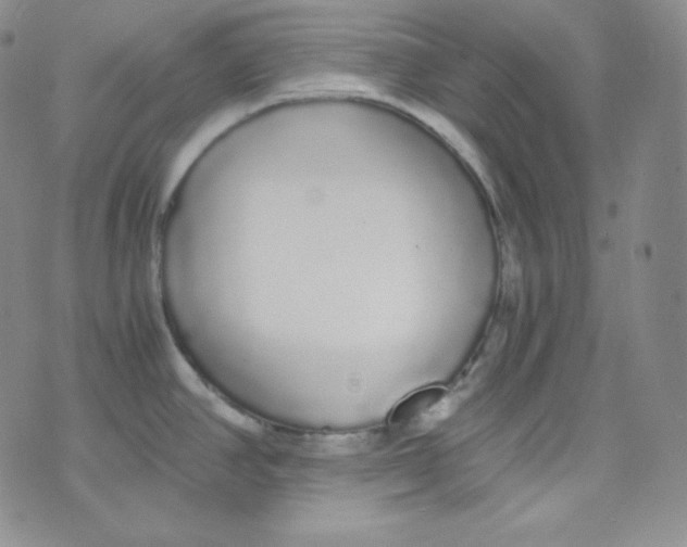 X0000076251390200610191638