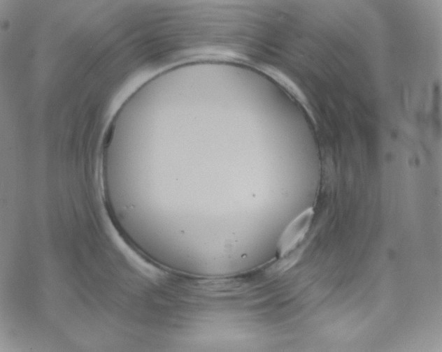 X0000076251391200610191638