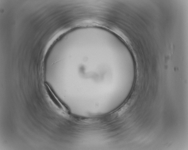 X0000076251392200610191638