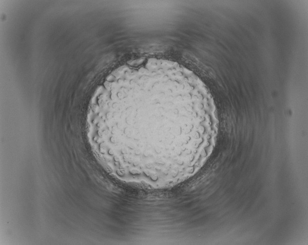 X0000076251393200610191637