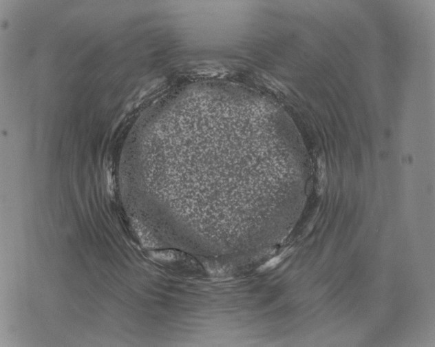 X0000076251394200610191637