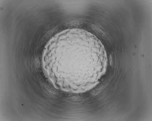 X0000076251395200610191637