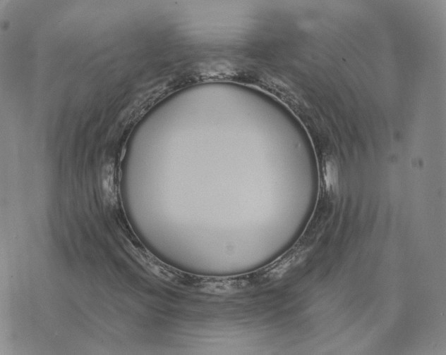 X0000076251396200610191637