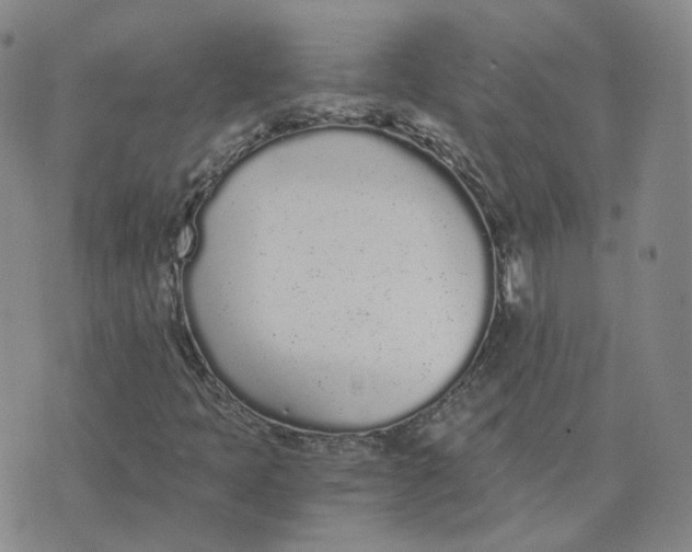 X0000076251397200610191637