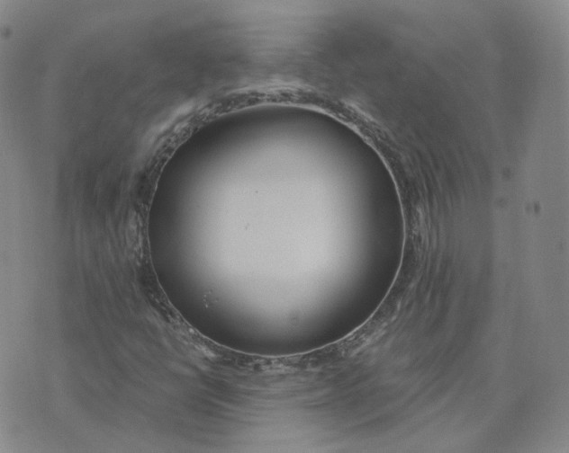 X0000076251398200610191637