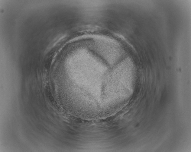 X0000076251399200610191637