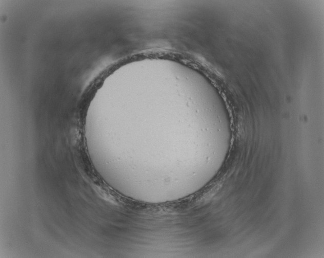 X0000076251400200610191637