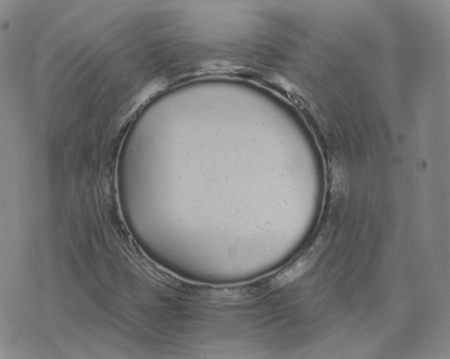 X0000076251401200610191637