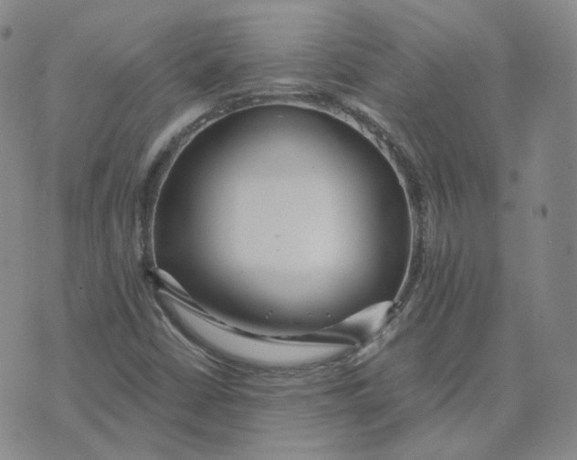 X0000076251402200610191637