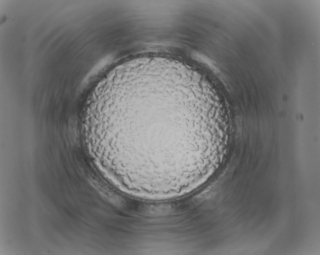 X0000076251403200610191637