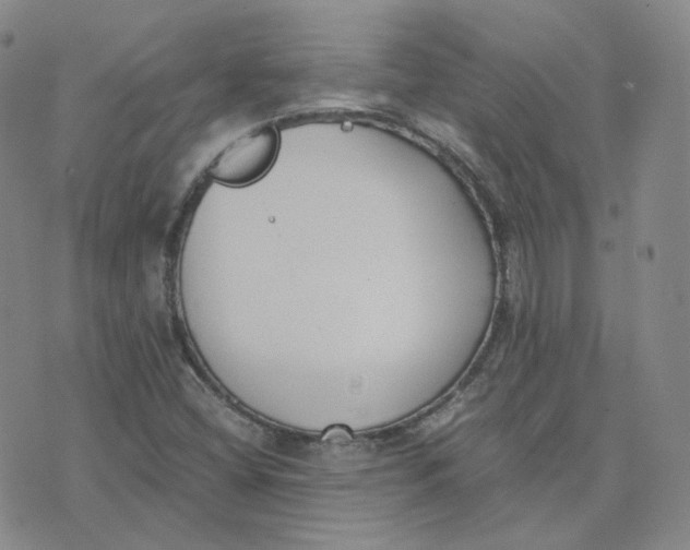 X0000076251404200610191637