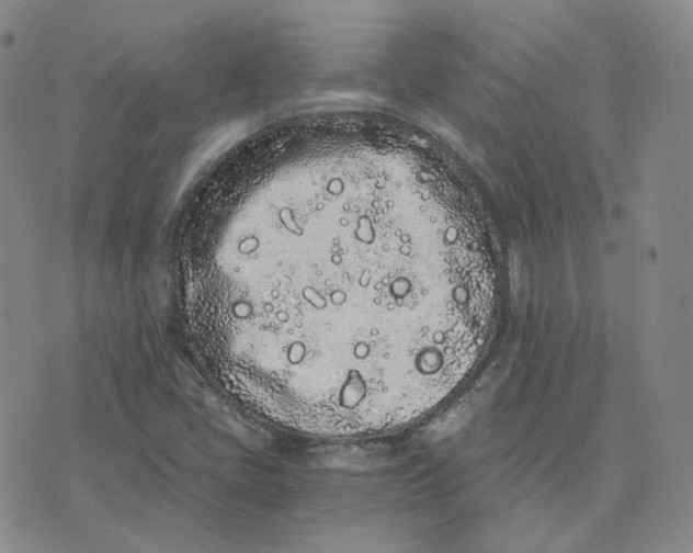 X0000076251405200610191637