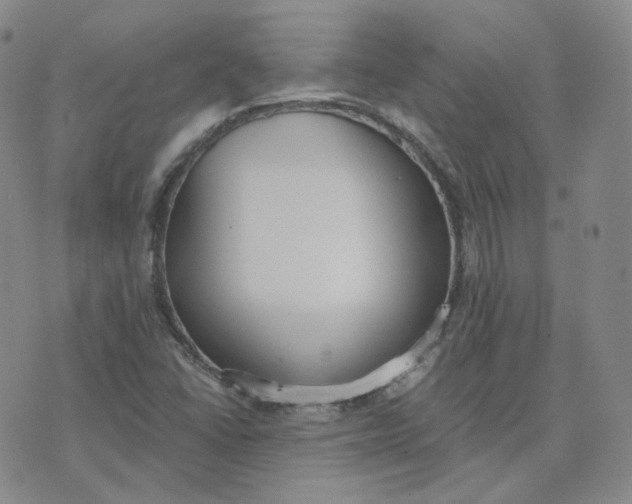 X0000076251406200610191637