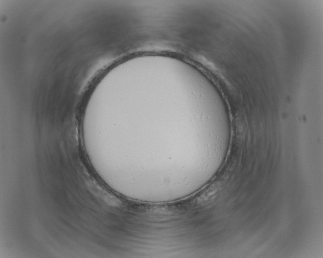 X0000076251408200610191637