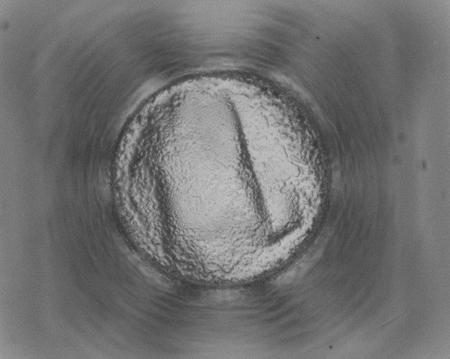 X0000076251409200610191637