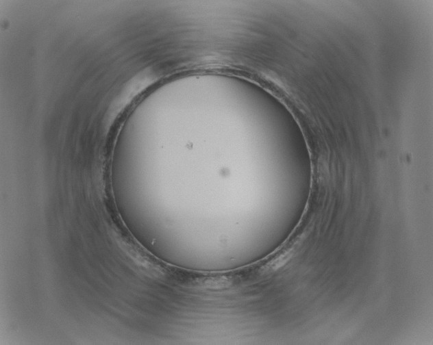 X0000076251410200610191637