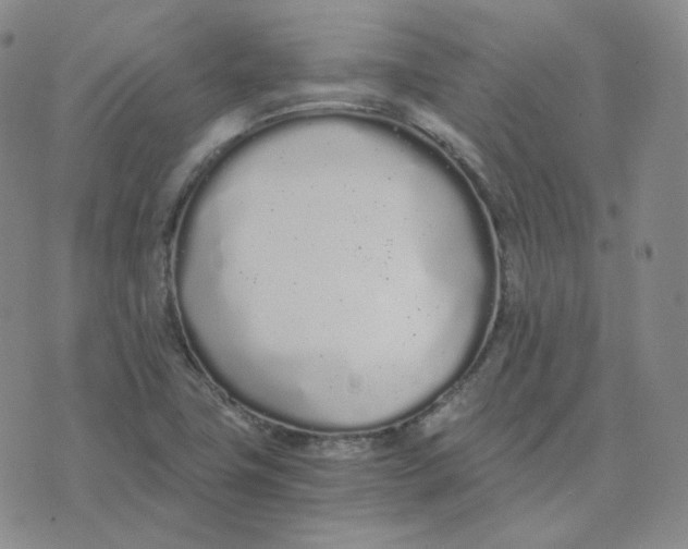 X0000076251411200610191637