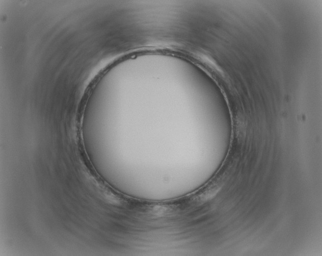 X0000076251412200610191637