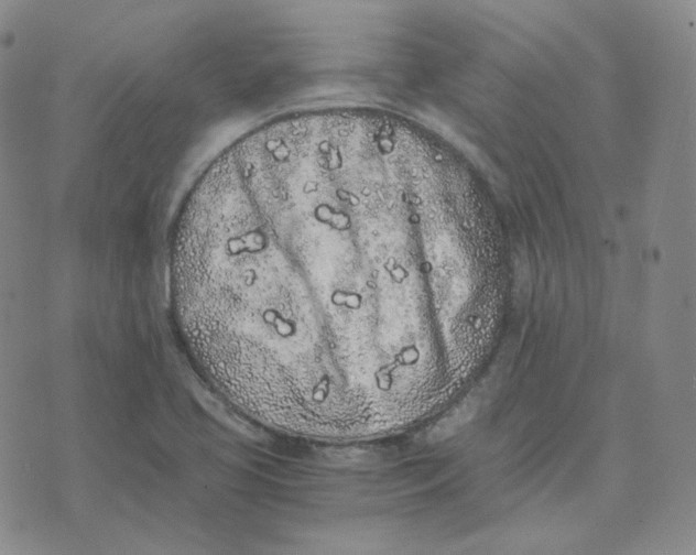 X0000076251413200610191637