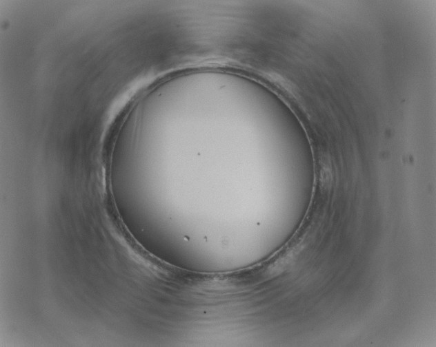 X0000076251414200610191637