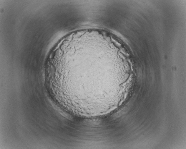 X0000076251415200610191637