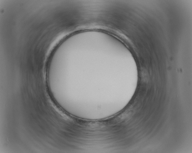 X0000076251416200610191637