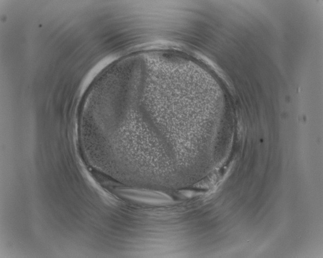 X0000076251418200610191637