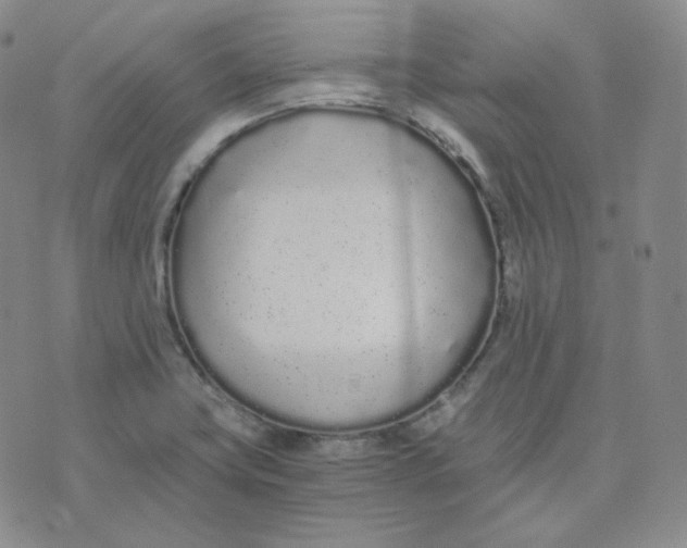 X0000076251419200610191637