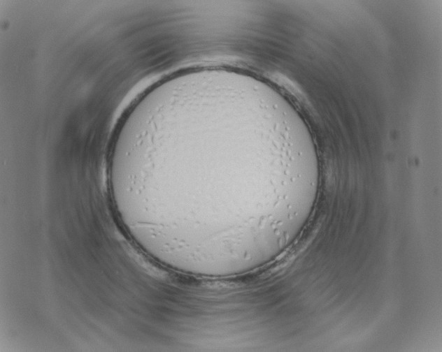 X0000076251420200610191637