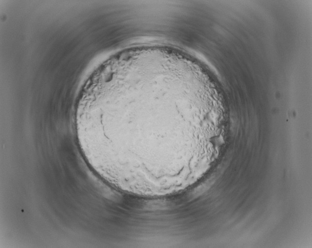 X0000076251421200610191637