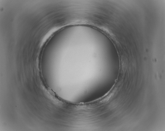 X0000076251422200610191637