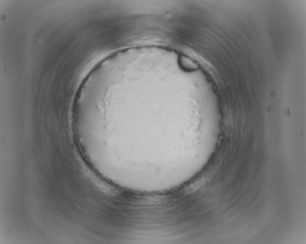 X0000076251423200610191637