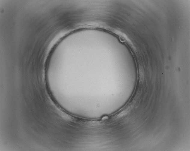 X0000076251424200610191637