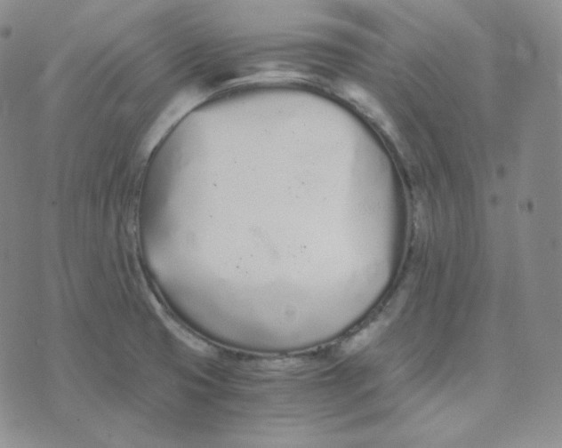 X0000076251425200610191637